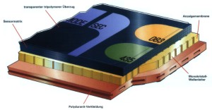 Klicke f�r Gro�bild